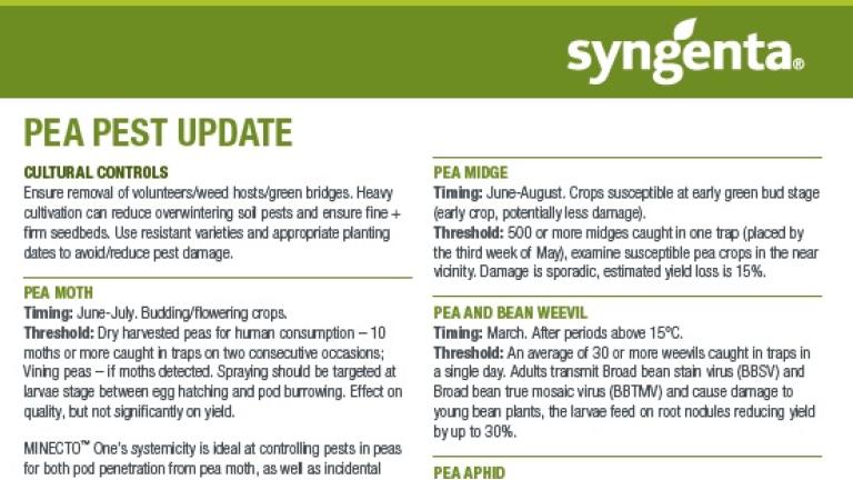 Syngenta_pea_pest_and_disease_technical_update_2022