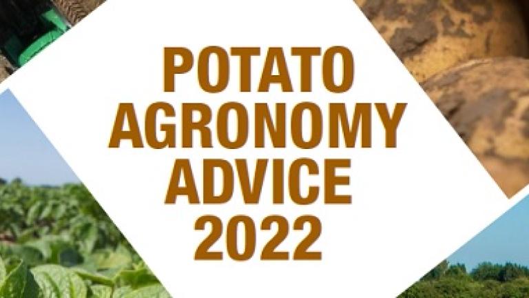 syngenta_potato_agronomy_guide_2022