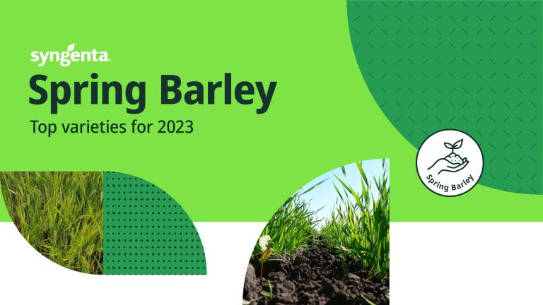 Sping_Barley_Varieties