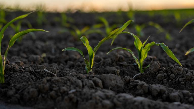 To address the gap between what the crop gets and what the crop needsNitrogen is essential to all crops to grow and produce yield, but there are many situations where crops cannot take up enough nitrogen as it is lost through volatilsation or leaching.