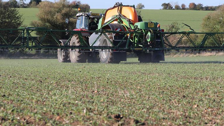 Early spring grass weed target application