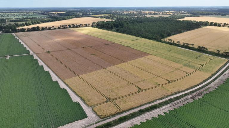 Elveden Estates Trial from above