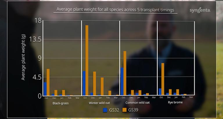 1024 x 549 Grass weed plant biomass graphic.jpg