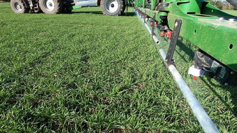 Targeting grass weeds beneath the crop canopy
