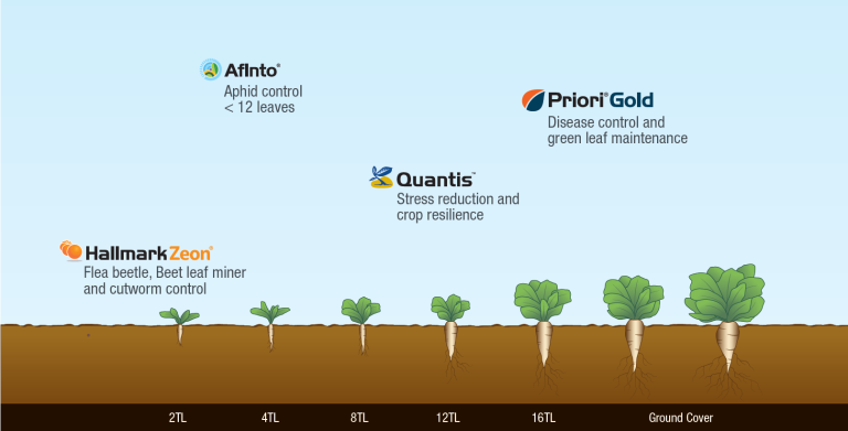 Product Application timeline