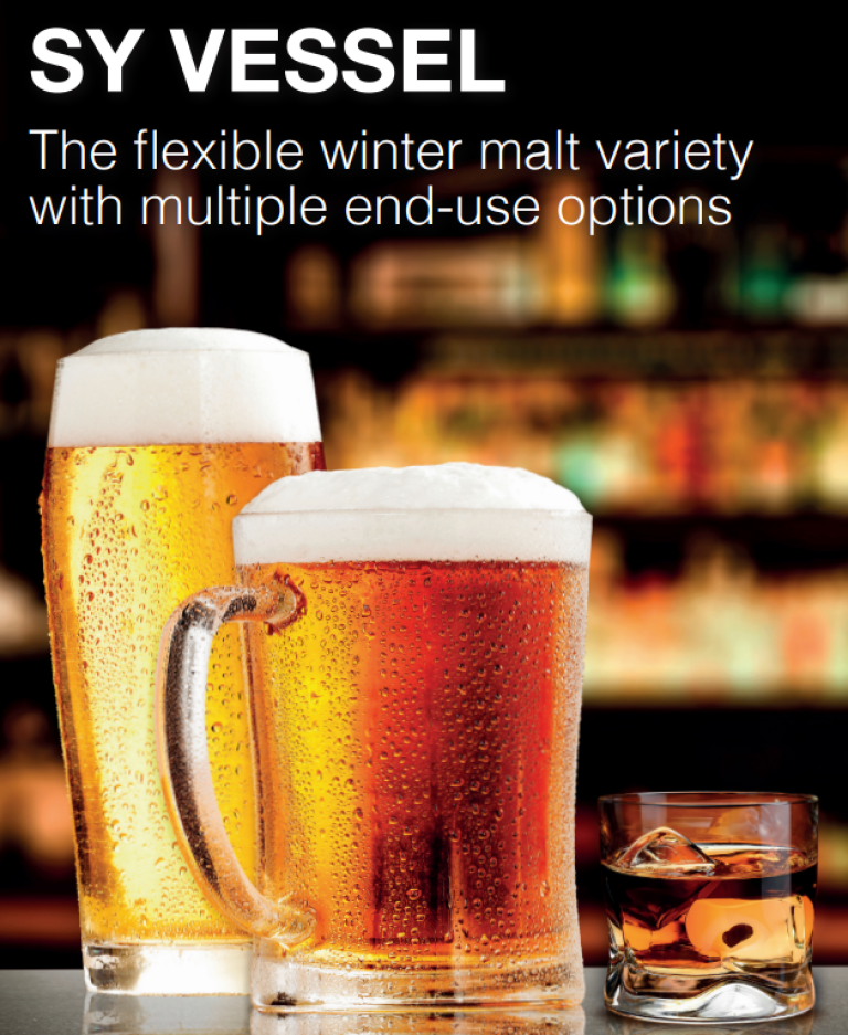 sy_vessel_advert
