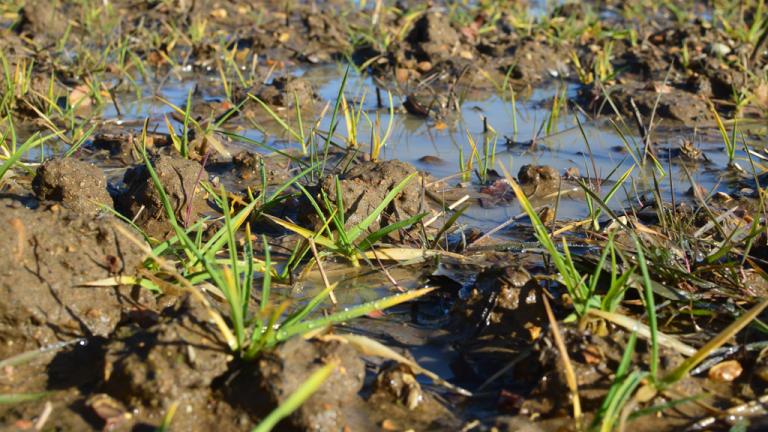 1024_x_576_-_waterlogging_1.jpg