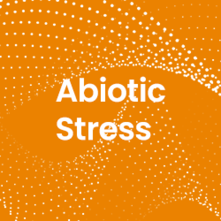 Abiotic Stress