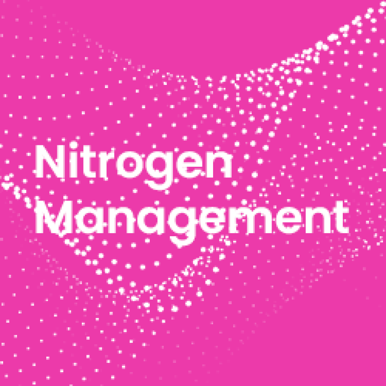 nitrogen management
