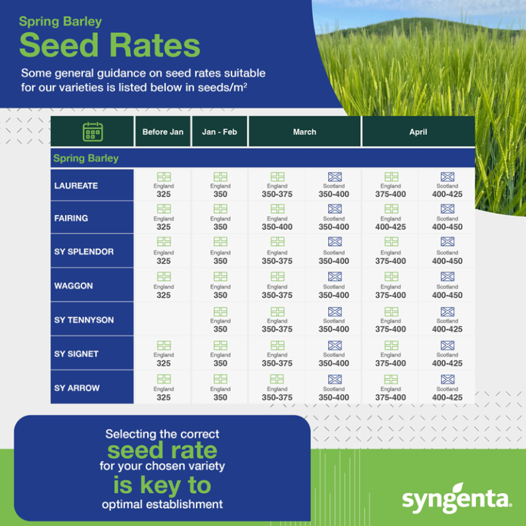 spring-barley-seed-rate-table-2024