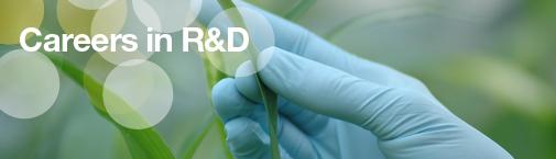 Careers R&D