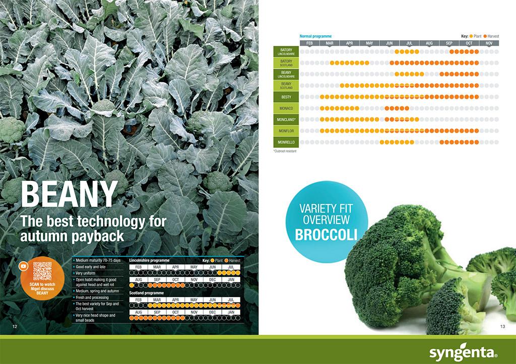 Beany page 2022