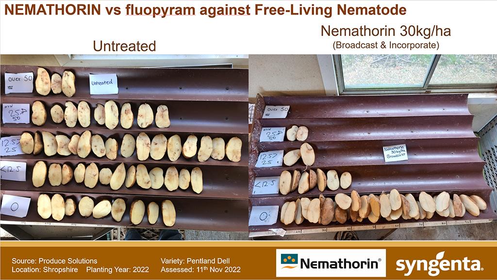 1024 x 577 Trial results slide Nemathorin vs untreated.jpg