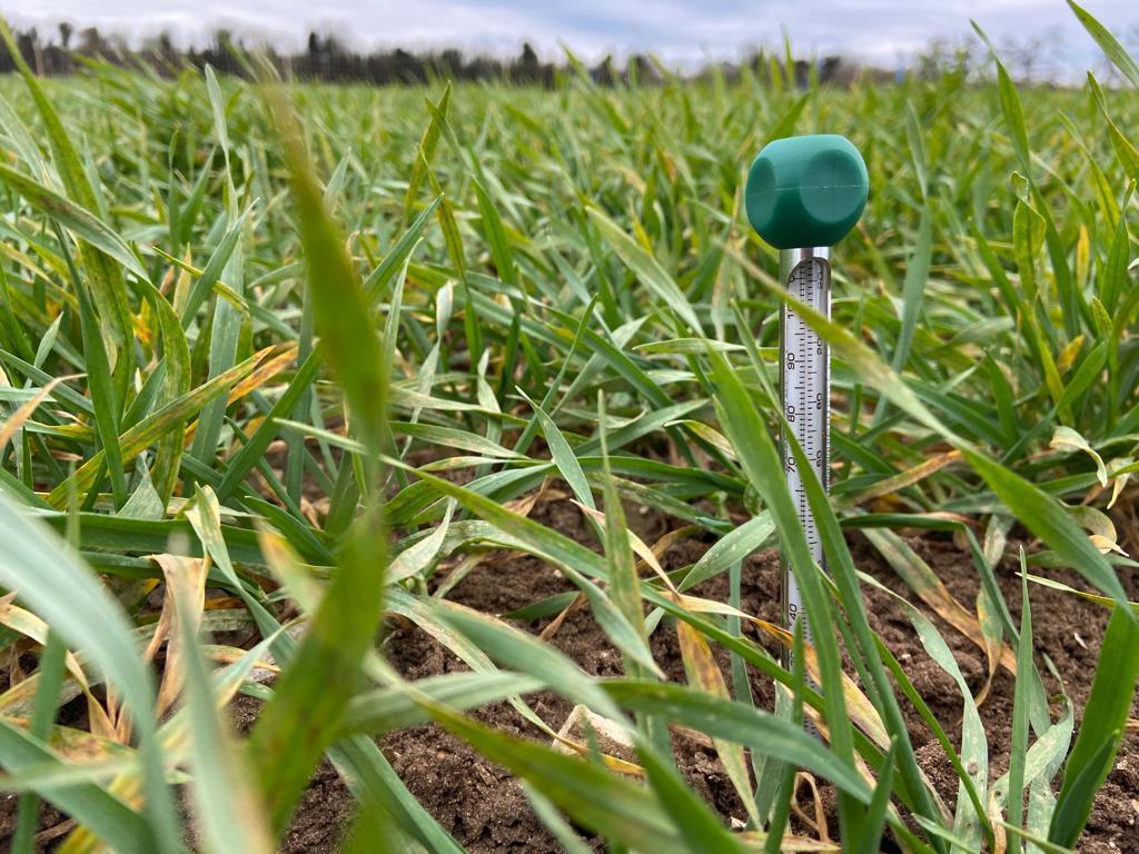 soil_thermometer