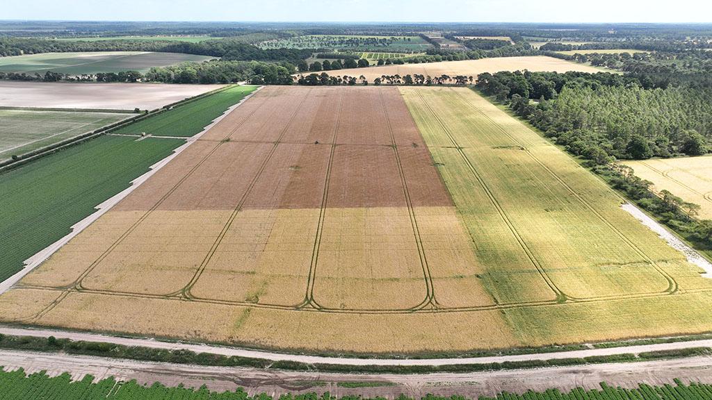 Syngenta Future of UK Farming trials site field in Suffolk
