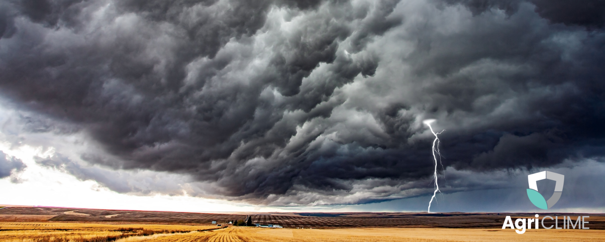 agriclime rainstorm