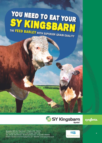 SY_KINGSBARN_ADVERT