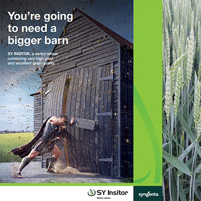 sy_insitor_advert