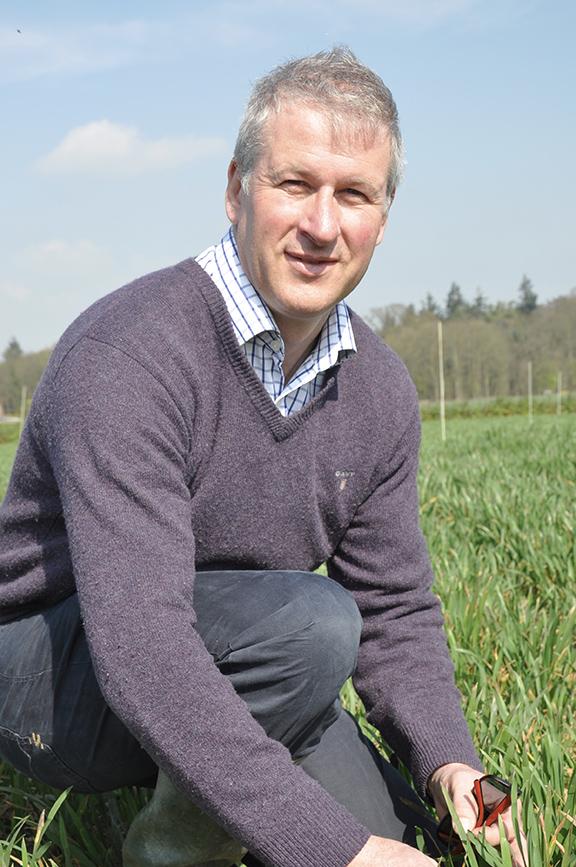 David King, Syngenta UK head of technical