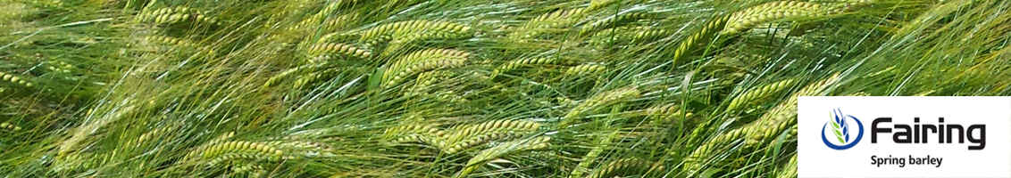 FAIRING_CROP_IN_FIELD