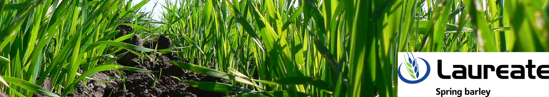 LAUREATE_EARLY_GROWTH_STAGE