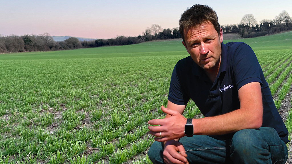 andy_cunnigham_winter_wheat_early_spring.png
