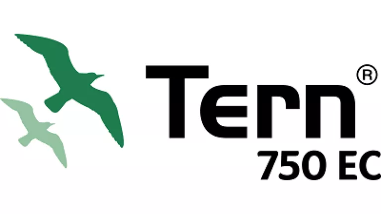 tern