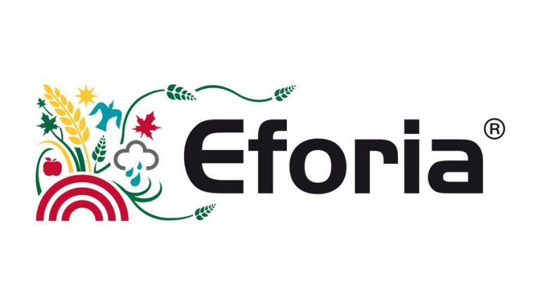 eforia
