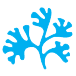Maxicrop